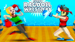 Funny Ragdoll Wrestlers background